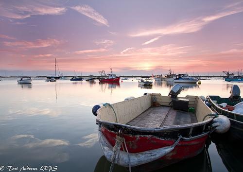 Visiting Mersea